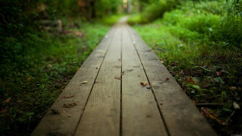 Embrace The Pain Your path to transformative change