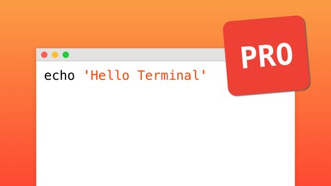 Learn Terminal from Beginner to Professional