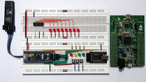 Hands-On STM32: Basic Peripherals with HAL