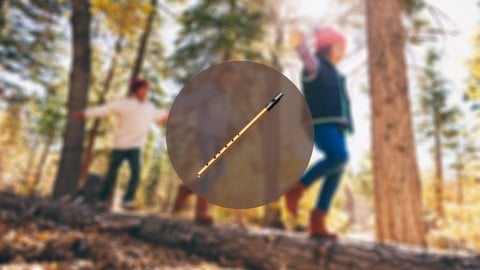 Whistleberry Tunes: Adventures on Irish Tin Whistle for Kids