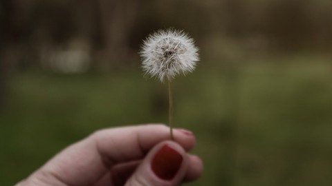 Aprenda a Fotografar no Modo Manual