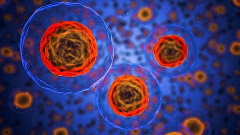 Complete Cell Biology Course: Learn Cell Structure, Tissues