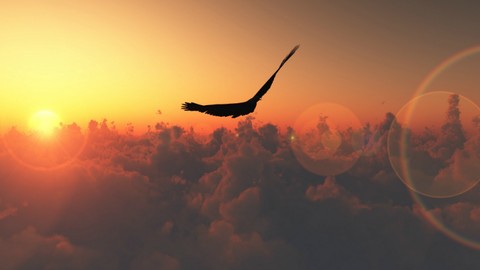 How To Get Clarity And Find Your Purpose In Life