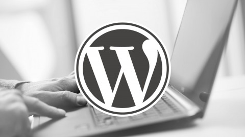 WordPress Guide - Beginner To Professional From Scratch