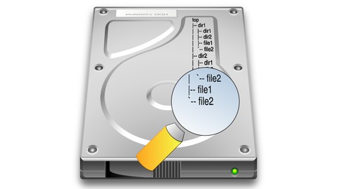 7 Linux basics: finding files