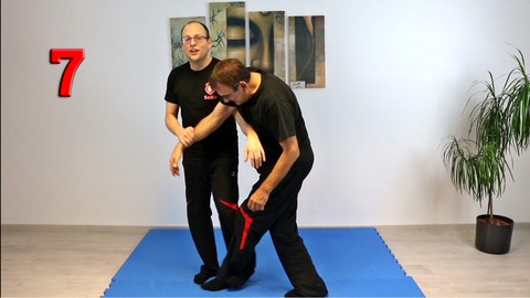 Wing Chun - Das komplette siebente Schülerprogramm