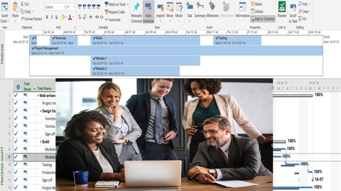 Software Project Management using MS Projects professional