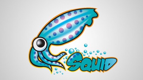 Squid Proxy Server On Linux: Anonymous browsing & filtering