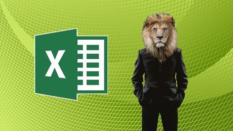 77-728 MOS Excel Expert 2016 Training (Deutsch)