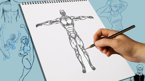 How to draw ANATOMY