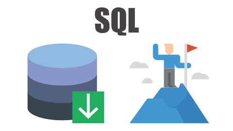 Business Analyst - SQL Survival Guide