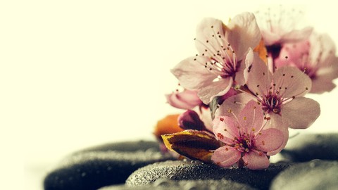 Aprende Reiki, el Sistema de Sanación Natural más sencillo.