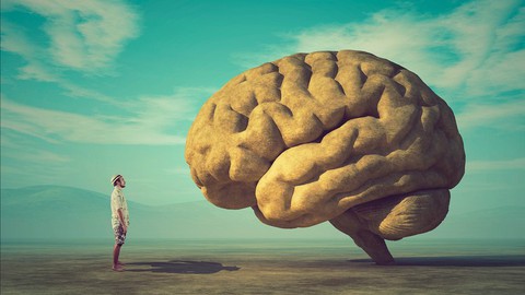 Desenvolva INTELIGÊNCIA EMOCIONAL para Superar Desafios