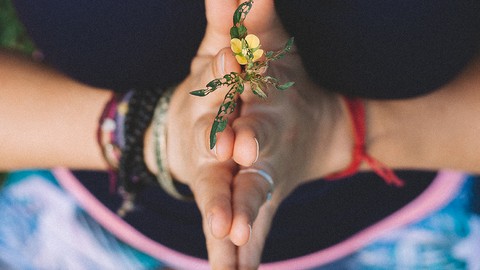 Yin yoga for sleep