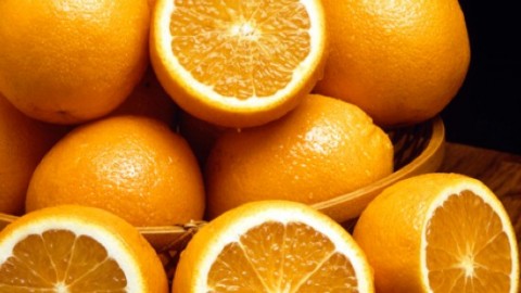 Vitamin- & Mineral therapy, cure your self  + bonusmateriel