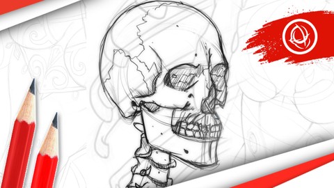 Anatomy Art School: The Complete Skeletal Drawing Course