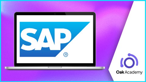 SAP Netweaver ABAP Developer Edition Installation