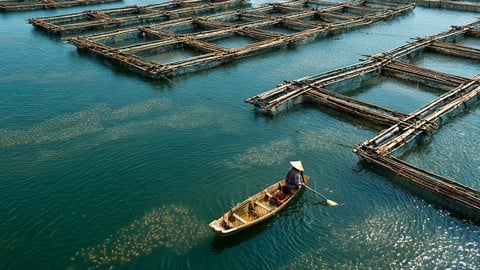 Aquaculture 4.0 - The Impact of Industry 4.0 on Aquaculture