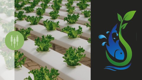 Aquaponics Farming & Gardening + Design Case Study