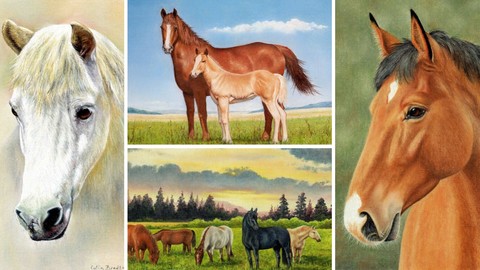 How To Draw Horses Step by Step - 4 Subjects in 1 Course