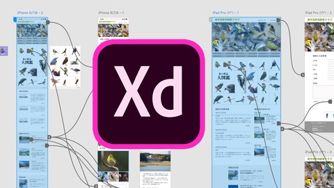 Adobe XD 手を動かして覚えるプロトタイピング。UI/UXデザイナーを目指す完全ガイド