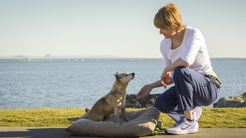 The 5 Essential Concepts for the MODERN Dog Trainer