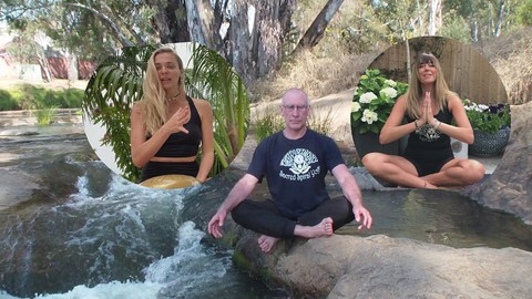 Yoga Teacher Training 100 Hour - Category Two