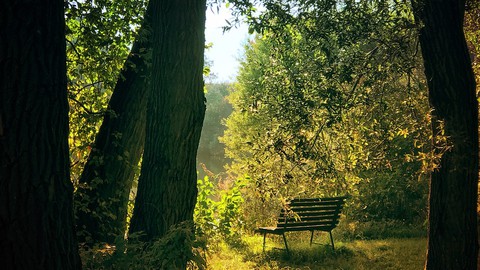 Oxford Diploma: Longevity, Wellbeing and Life Extension.