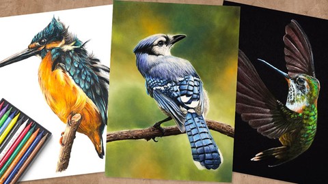 3 Little Birds with Colored Pencils