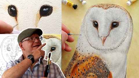 Barn Owl Watercolor Lesson