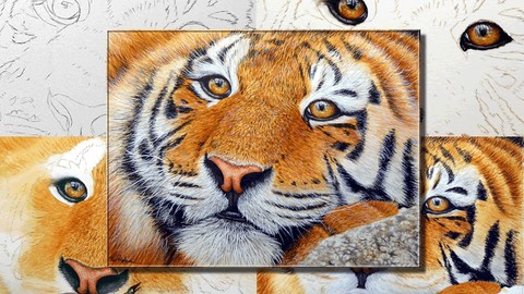 How To Paint a Realistic Tiger in Watercolour, Step by Step!