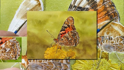 How To Paint a Realistic, Detailed, Butterfly in Watercolour