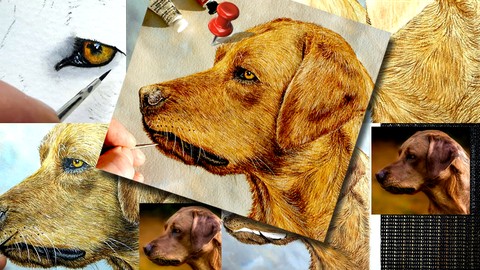 How To Paint a Dog in Watercolour - Painting Fur in Detail!