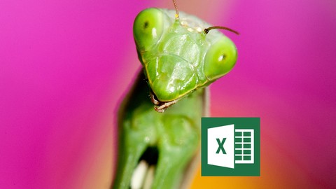 Apprenez VBA et programmez Excel, 1er Niveau