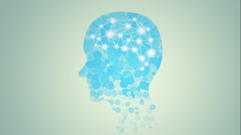 An Introduction to Psychology