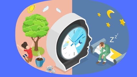 Circadian Rhythm: Boost Sleep, Energy & Productivity