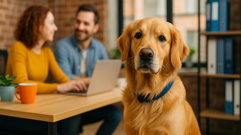 Emotional Support Animals | Reduce Stress & PTSD at Work