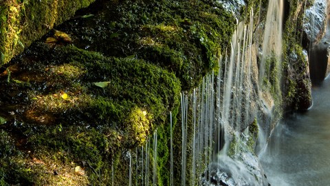 Mit Wasser zur Gesundheit