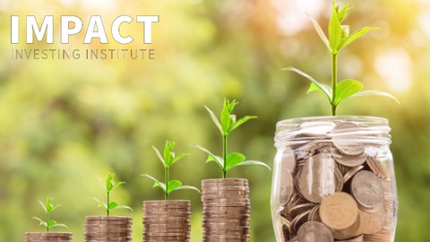 Nonprofits Financial Innovation & Impact Investing COVID-19