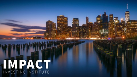 Corporate Financial Innovation & Impact Investing Course