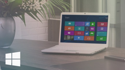 Learn Microsoft Windows 8 the Easy Way