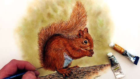 Watercolour Wildlife Painting - How To Paint a Red Squirrel