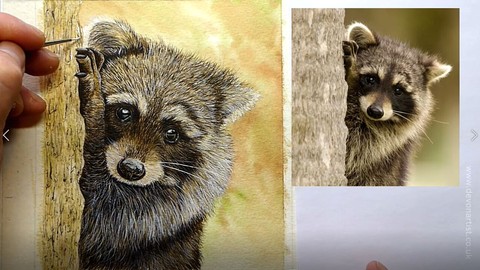 How To Paint a Realistic Raccoon in Watercolor | Paint Fur!