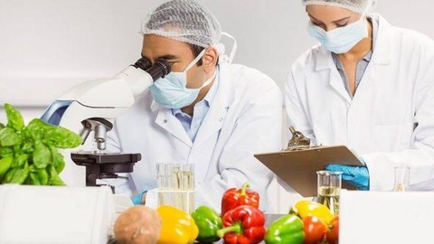 Microbiologia e Gestão da Segurança de Alimentos