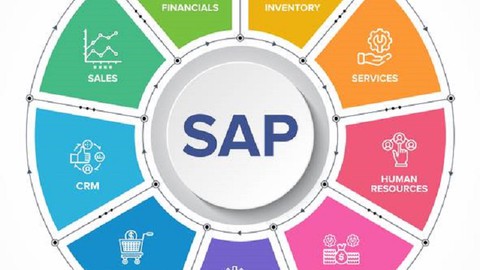 Máster SAP MM + Introducción SAP ABAP Examenes  EM008