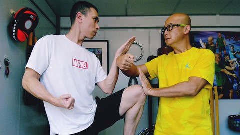 Wing Chun Chi Sao Sticky Hand Technique Ip Man Lineage