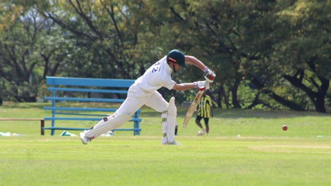Ultimate Cricket Batting Course: All Levels