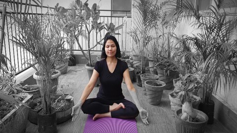 Yoga for a Zen mind, the subtle practices for a calm mind