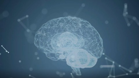 Strengthen Your Mental Wellness