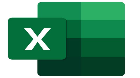 MS Excel Basics for Professionals : Beginners Course